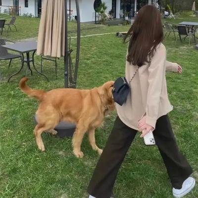 触发警报